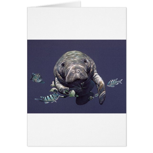 Manatee Underwater World (Front)
