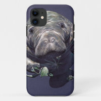 Manatee Underwater World