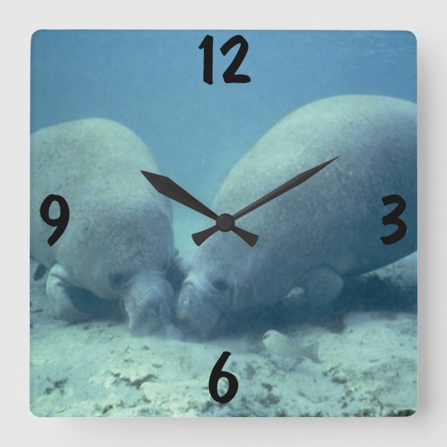 Manatee Wall Clock (Front)