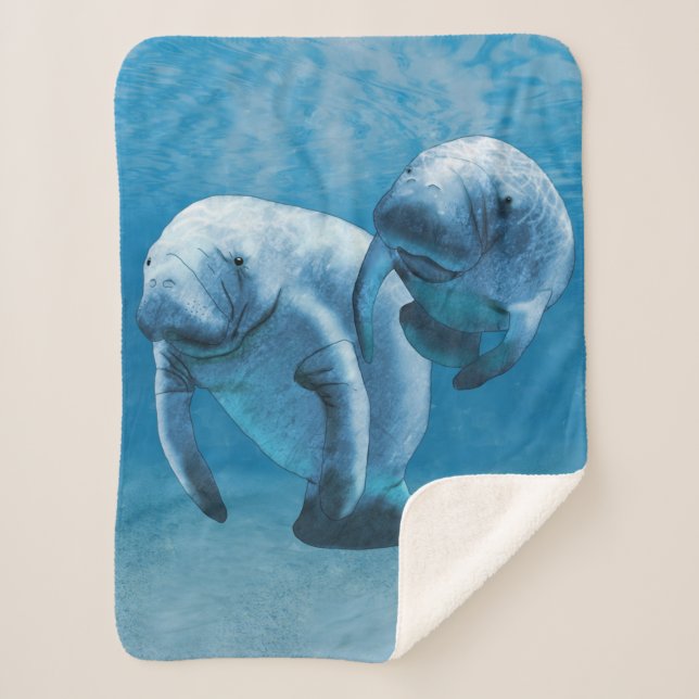 Manatees Sherpa Blanket (Front)