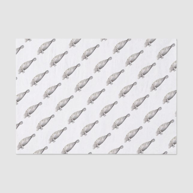 Manati Tissue Paper (Front)