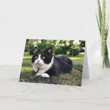 Manchester carte nature