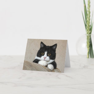 Manchester great cheeks card