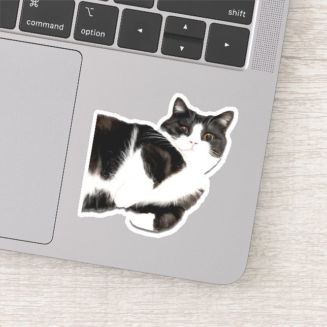 Manchester "Hi!" Sticker (Detail)