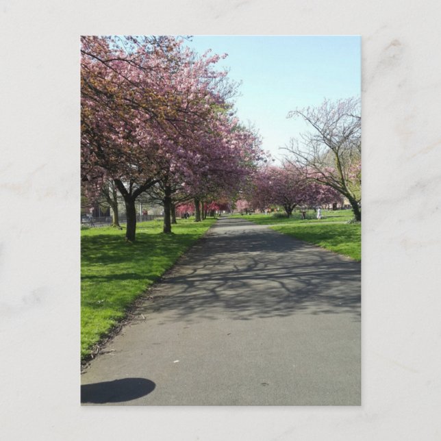 Manchester in Spring Postcard (Front)