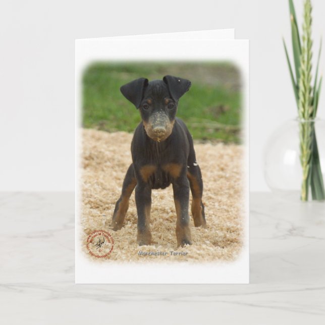 Manchester Terrier 9B082D-03 Card (Front)