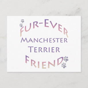 Manchester Terrier Furever Postcard