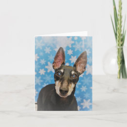 Manchester Terrier Holiday Card