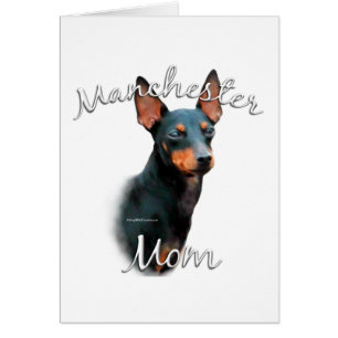Manchester Terrier Maman 2