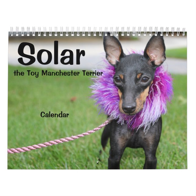 Manchester Terrier Medium 2021 Calendrier A (Protection)