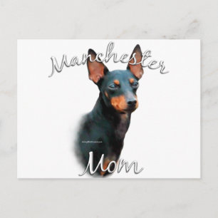 Manchester Terrier Mom 2 Postcard