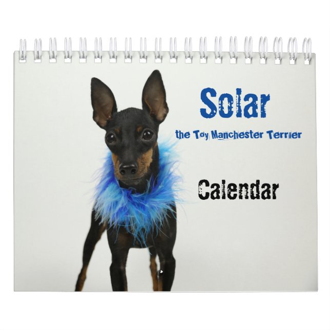 Manchester Terrier Petit Calendrier 2021 B (Protection)