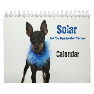 Manchester Terrier Petit Calendrier 2021 B