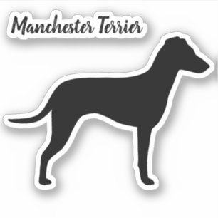 Manchester Terrier Silhouette with Natural Ears