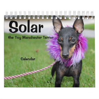 Manchester Terrier Small 2021 Calendrier A