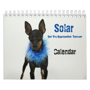 Manchester Terrier Small Calendar 2021 B