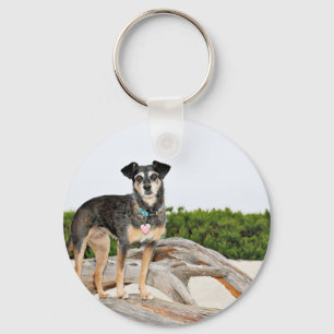 Manchester Terrier X - Jordan - Derr Keychain