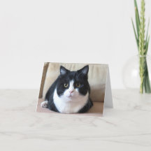 Manchester's photo card