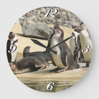 Manchots de Humboldt, Horloge