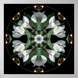 Mandala #06 poster