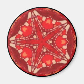 Mandala Fractal Arco Iris Estrella Flor Arte Iman Magnet