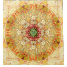 Mandalas for Times of Transition 12 Shower Curtain