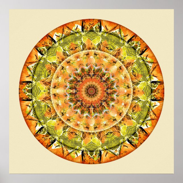 Mandalas of Deep Trust, No. 10 Poster (Front)