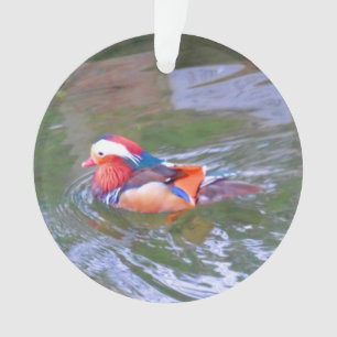 Mandarin Canard #2 Ornement