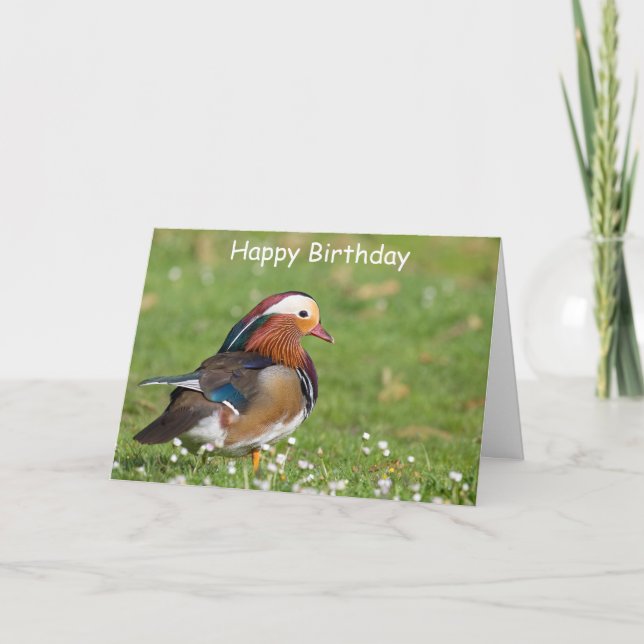 Mandarin Canard Carte d'anniversaire (Devant)