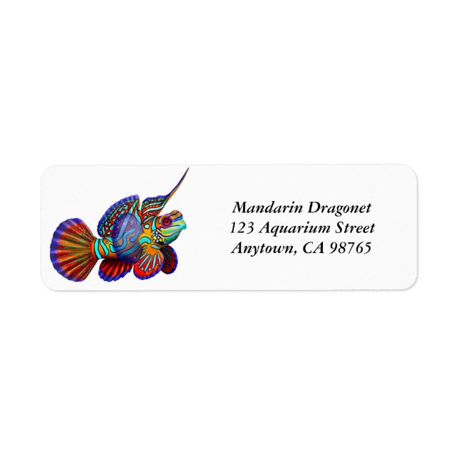 Mandarin Dragonet Goby Étiquette de poissons (Devant)