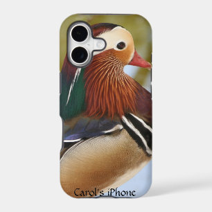 Mandarin Duck