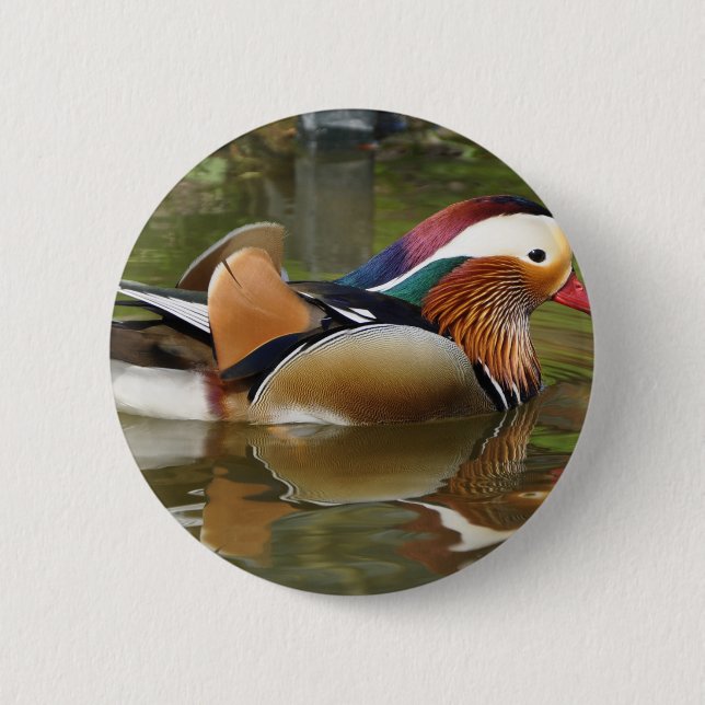 mandarin duck 2 inch round button (Front)