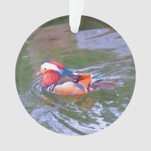 Mandarin Duck #2 Ornament (Front)