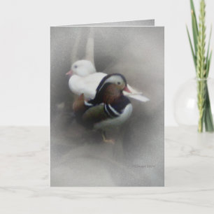 Mandarin Duck and Friend... Card