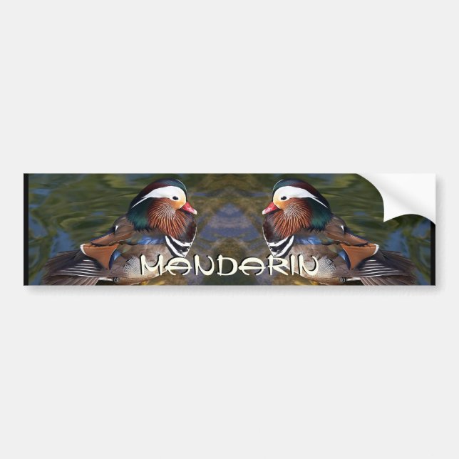 Mandarin Duck Bumper Sticker (Front)