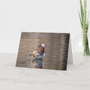 Mandarin Duck Card