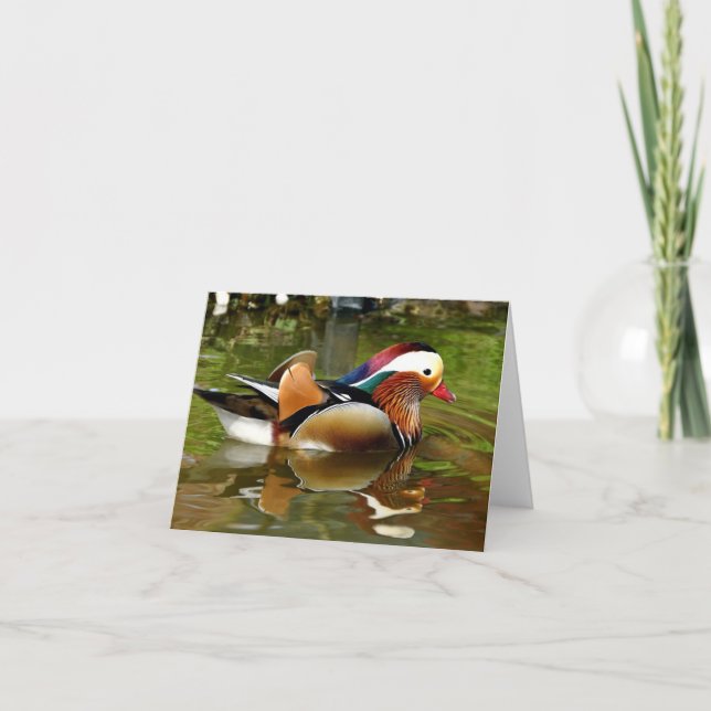 Mandarin Duck Card (Front)