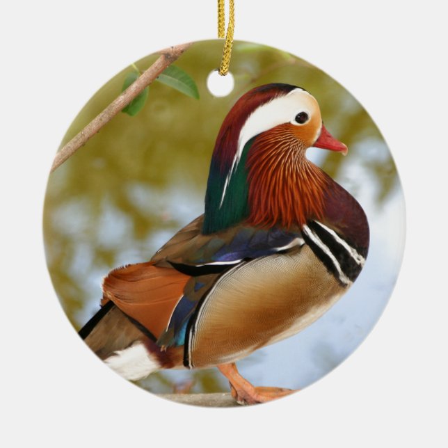Mandarin Duck Ceramic Ornament (Front)