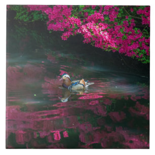 Mandarin Duck ceramic tile