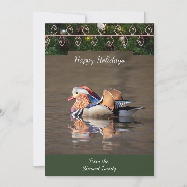 Mandarin Duck Christmas Card (Front)
