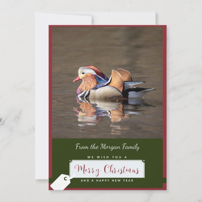 Mandarin Duck Christmas Card (Front)