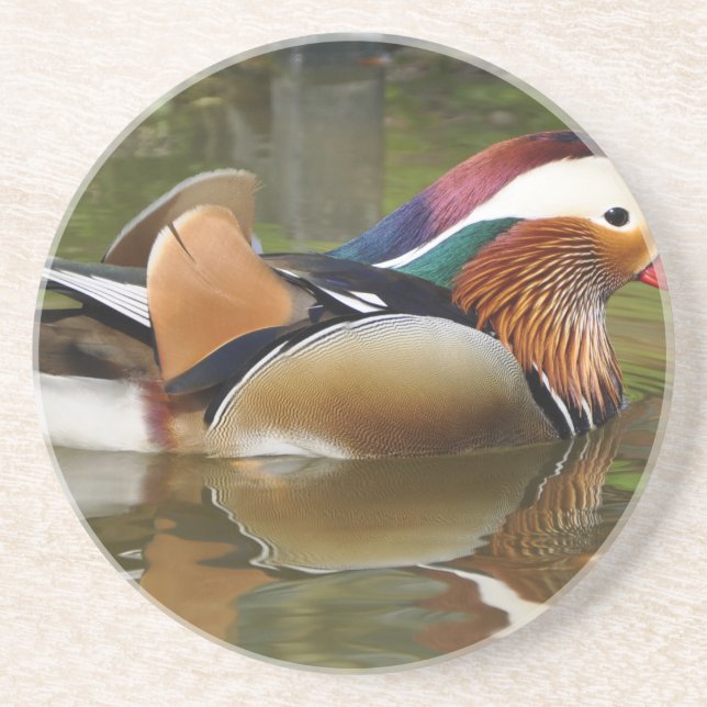 mandarin duck coaster (Front)