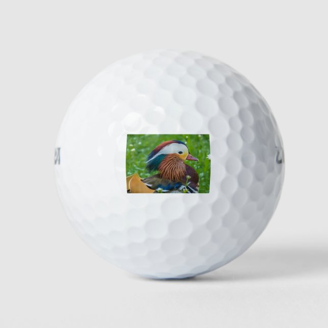 Mandarin Duck Golf Balls (Front)