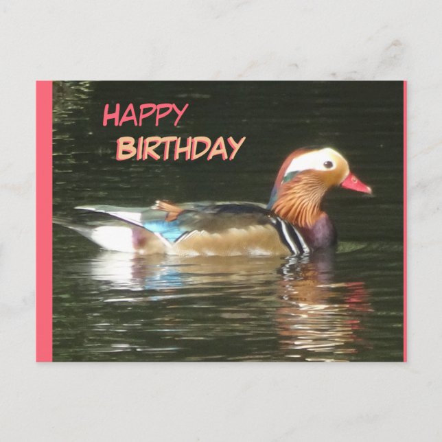 Mandarin Duck Happy Birthday Postcard (Front)