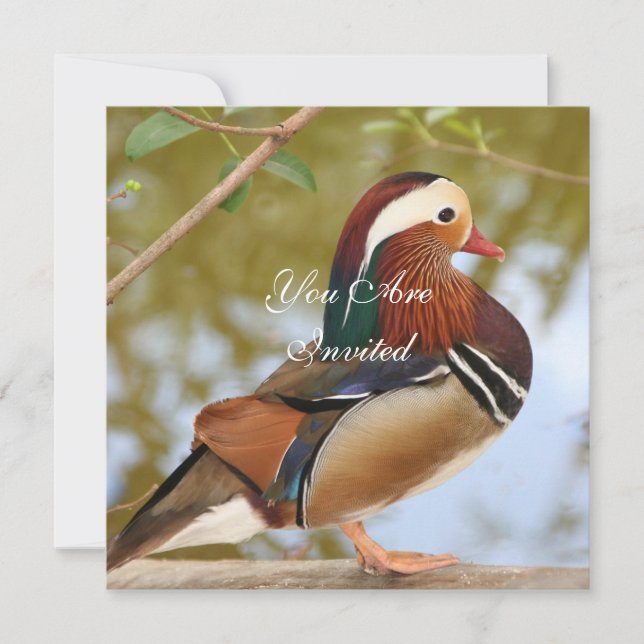 Mandarin Duck Invitation (Front)
