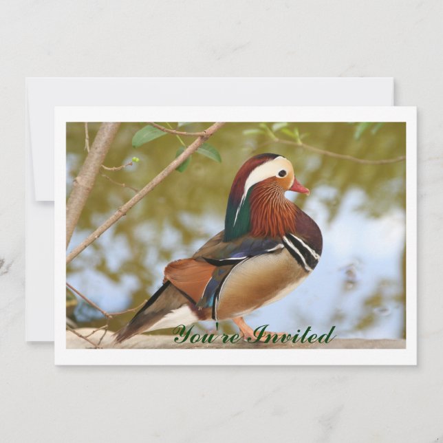 Mandarin Duck Invitation (Front)