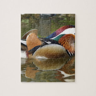mandarin duck jigsaw puzzle