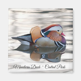 Mandarin Duck Magnet