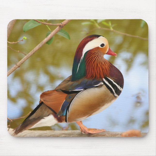 Mandarin Duck Mouse Pad (Front)