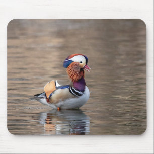 Mandarin Duck Mouse Pad